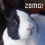 :iconbunbunnie: