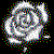 :iconbungaberacun: