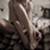 :iconbungii: