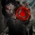 :iconbunglesbrains: