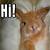 :iconBunnie-fu: