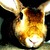 :iconbunnie-lovee: