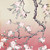 :iconbunnisie: