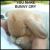 :iconbunny-kill: