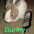 :iconbunnybender: