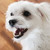 :iconbunnygweek:
