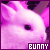 :iconBunnyHanyou: