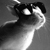 :iconbunnymarn: