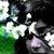 :iconBunnyStar99: