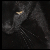 :iconbunsen01:
