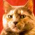 :iconbunworth: