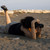 :iconburcural: