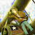 :iconburger-loving-hero: