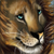 :iconBurhton: