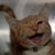 :iconburkarn: