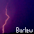 BurlewPhotos :iconburlewphotos: