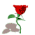 :iconBurnin-Heart: