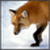 :iconburning-ace16: