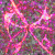 BuRnInG-IcE-KiLls :iconburning-ice-kills: