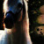 :iconburningnightmare:
