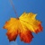 :iconburnt-amber: