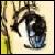 :iconburntyogurt: