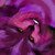 :iconbursteye: