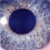:iconbuschi999: