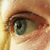 :iconbuschwindroeschen: