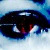 :iconbushfirehedgehog: