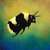 :iconbushfirehedgehog: