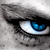 :iconbushijaggu: