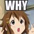 :iconbushldo: