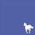 :iconbushwacker69: