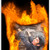 :iconbutho: