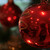 :iconbuttercupflower:
