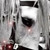 :iconbutterflieger: