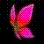 :iconbutterflikissed: