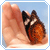 :iconbutterflix: