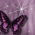 :iconbutterfly-club: