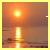 :iconbutterfly79000: