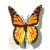 :iconbutterfly7981: