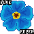 :iconbutterflyblue-sm:
