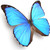 :iconbutterflybreezy: