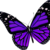 :iconbutterflyfire: