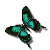 :iconbutterflyhippy: