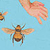 :iconbutterflyinreverse: