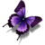 :iconbutterflyjody: