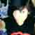 :iconbutterflykill:
