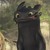 :iconbutterflyskinny: